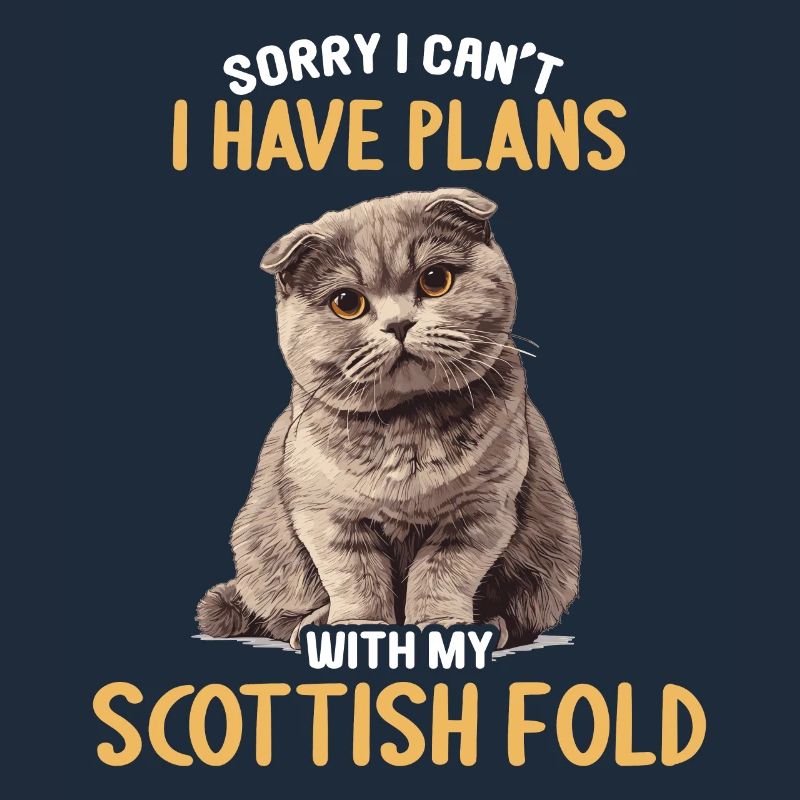 Scottish Fold Kitten Scottish Fold chat
