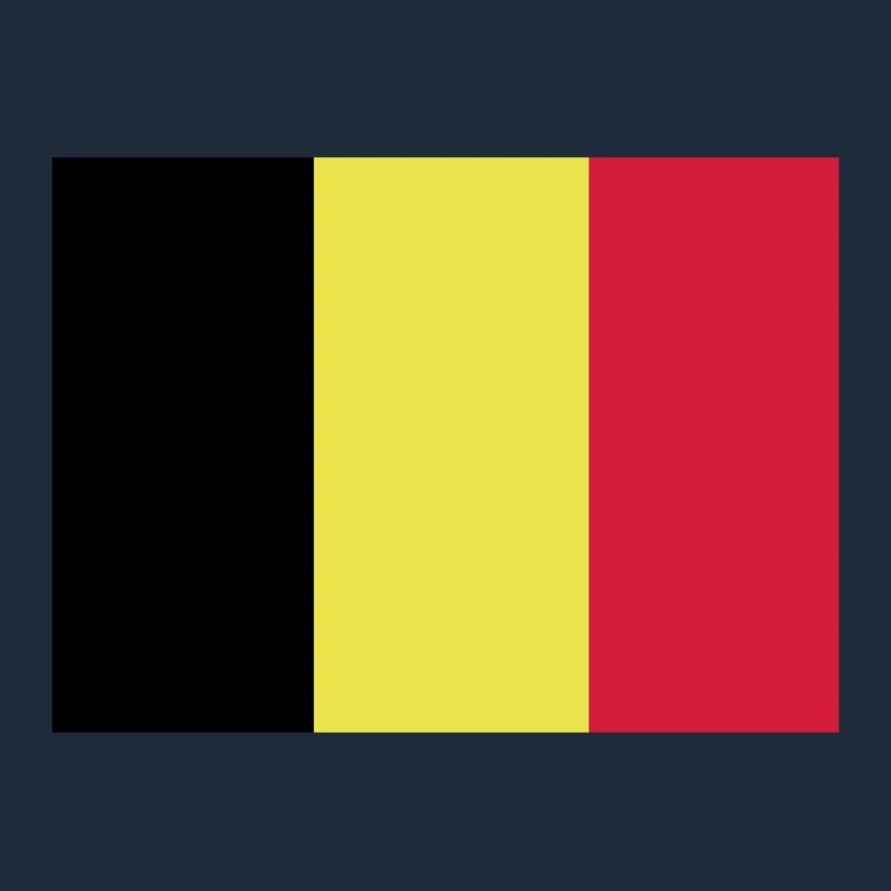 drapeau belge