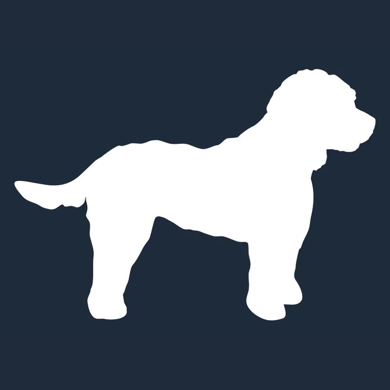 Cockapoo