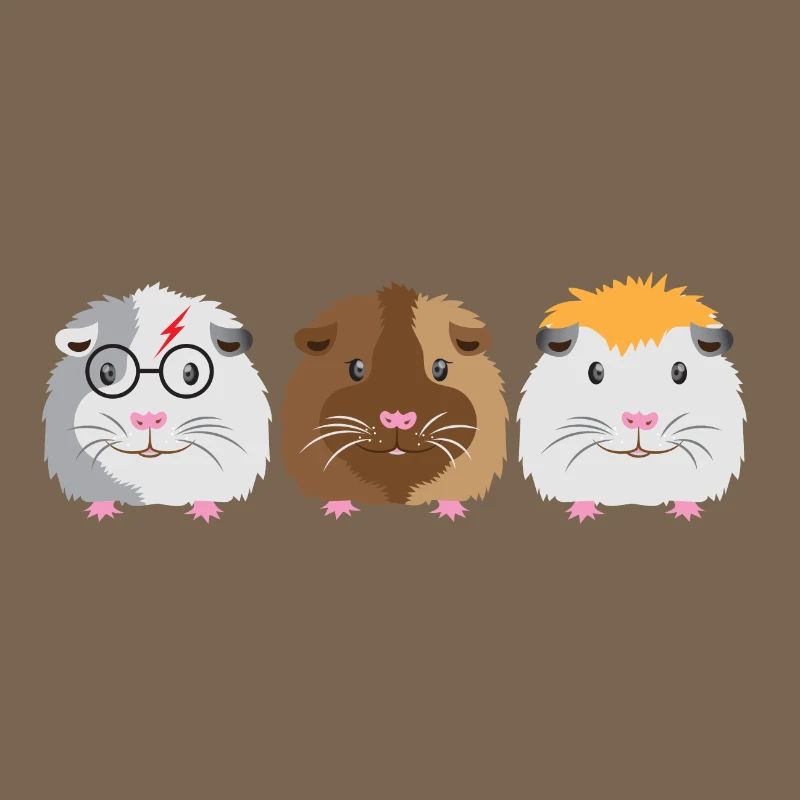 Trois petits cochons d'Inde