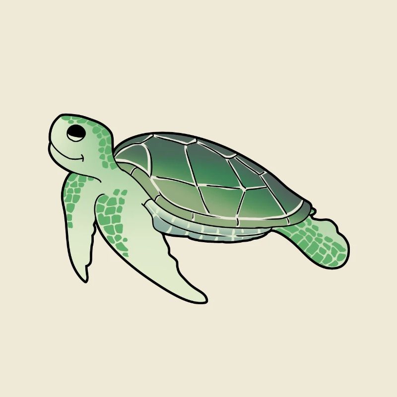 Sea Creatures Turtle Turtles