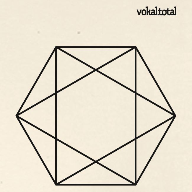 vokal.total Hexagon klein T-Shirts