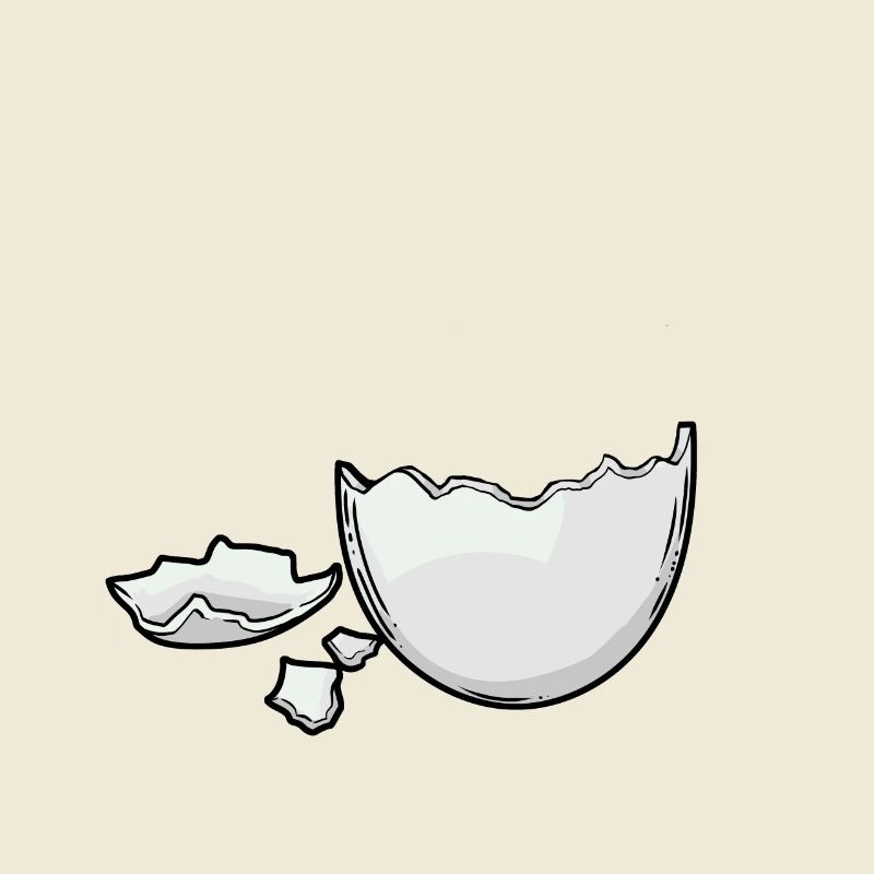 Eggshell Egg Eggs Hatch Baby Birth Pregnant