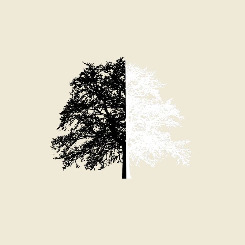 Tree Tree Black White Illusion