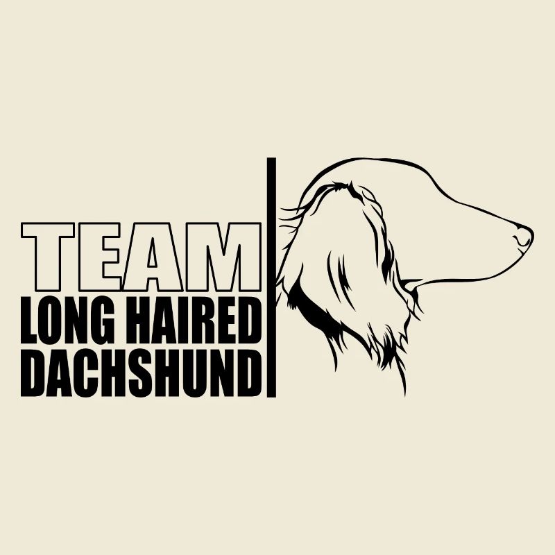 TEAM Teckel à poil long Chiens Teckel Wilsigns