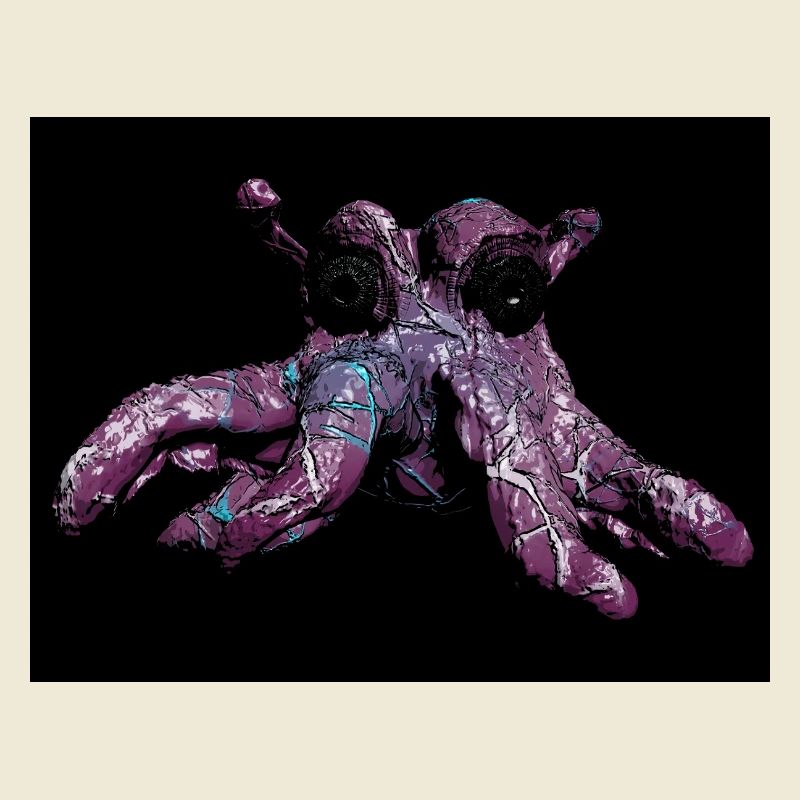 Octopus octopus