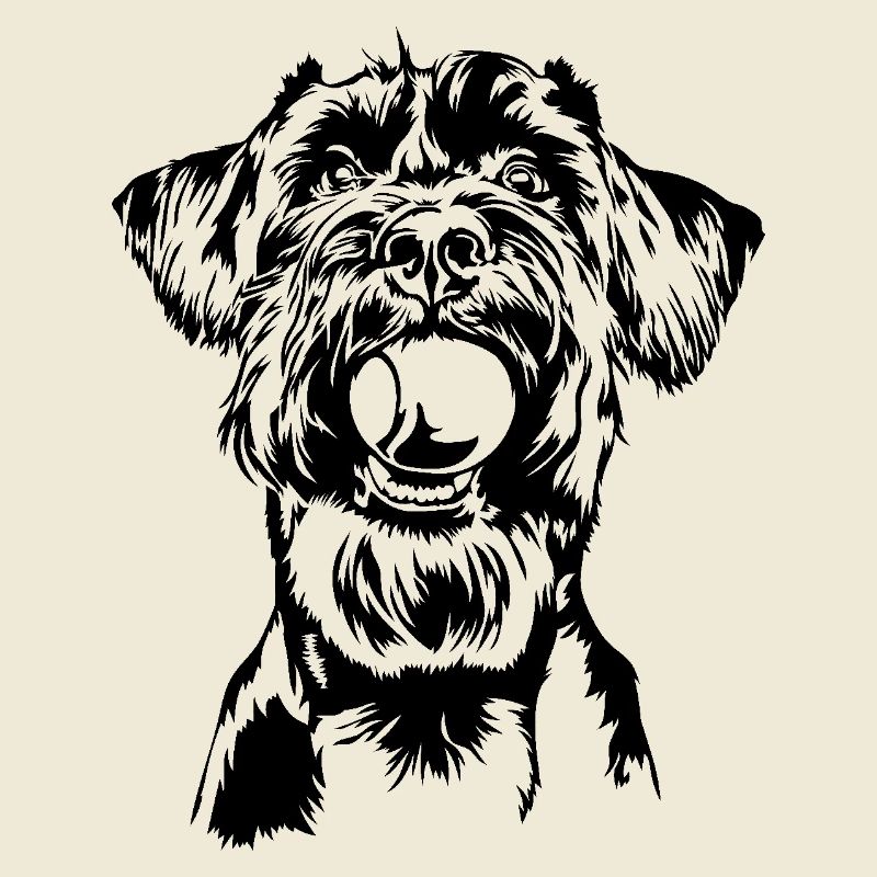 Schnauzer géant Schnauzer chien chien Wilsigns