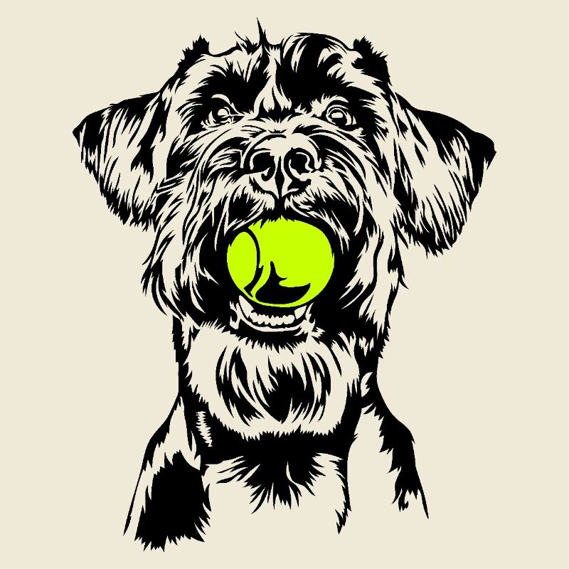 Schnauzer géant Schnauzer chien chien Wilsigns