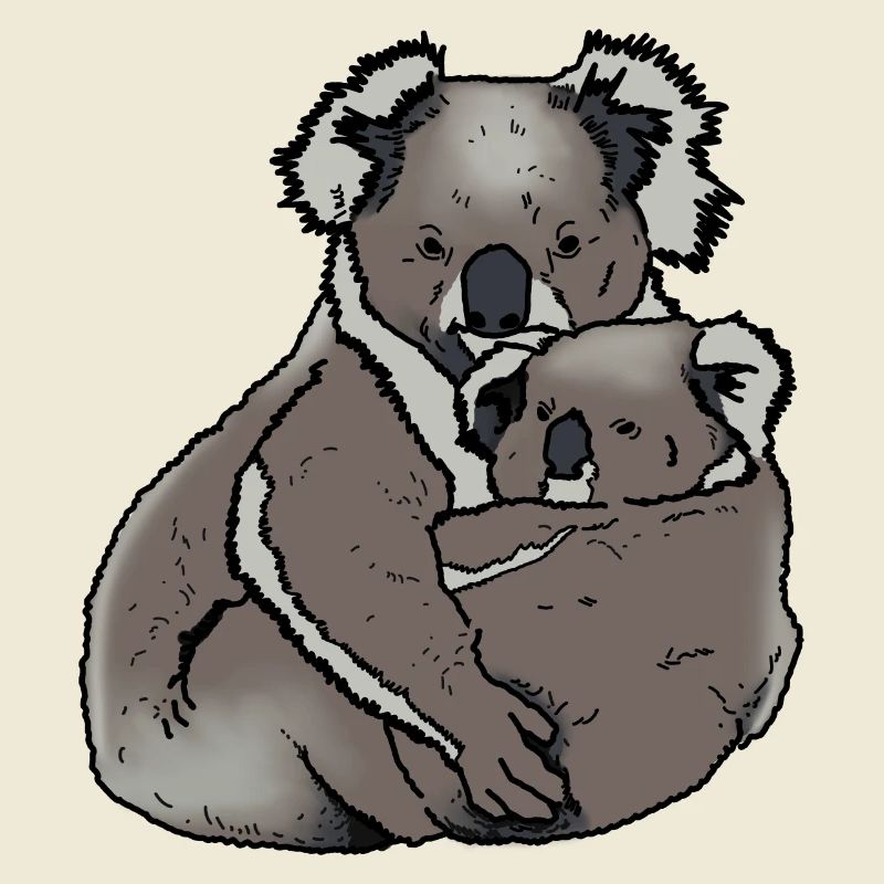 Koala - Maman avec bébé