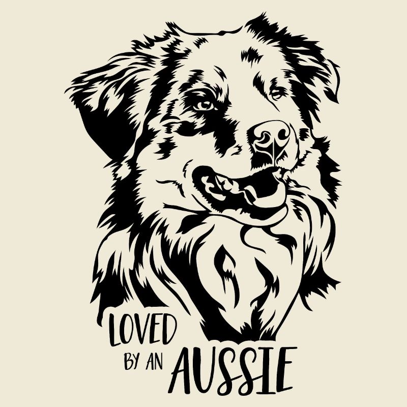 Australian Shepherd loved by an Aussie Wilsigns