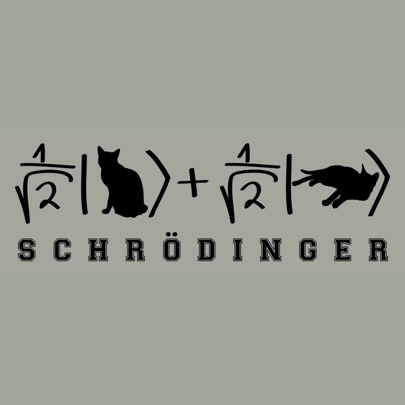 Quantenphysik Schrödinger Katze