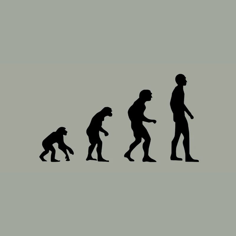 évolution
