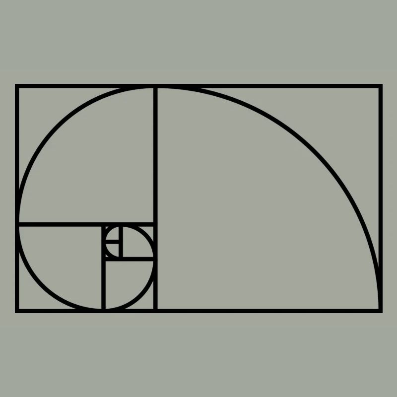 Fibonacci Spirale Mathematik Geschenk Idee Nerd