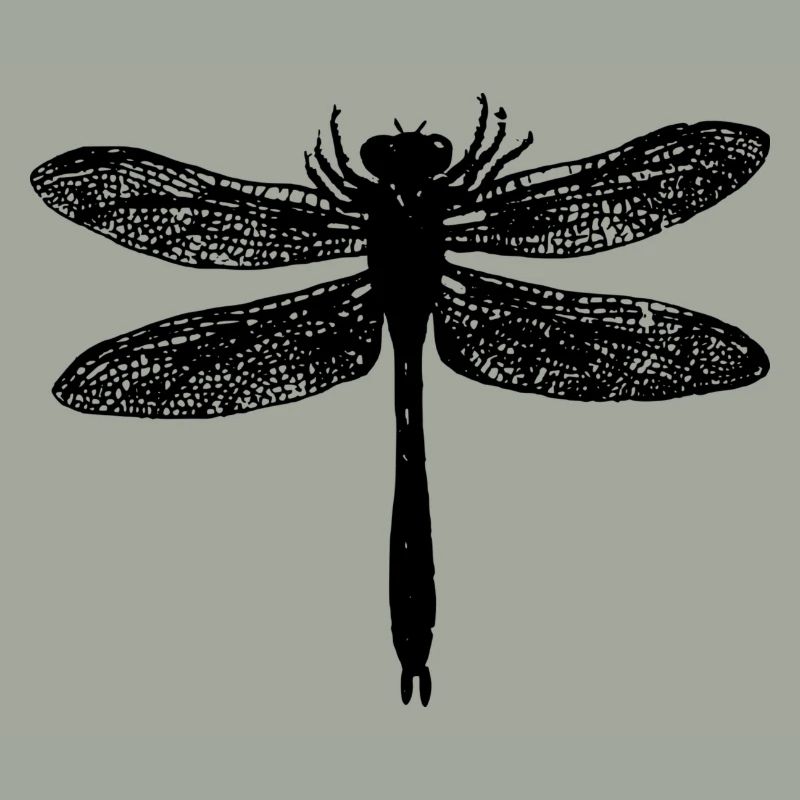 Libelle