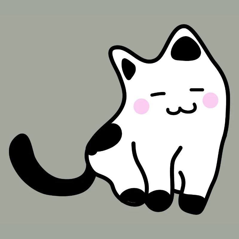 Chaton blanc