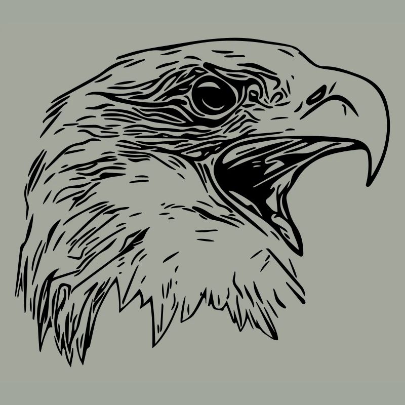 Adler Kopf - Königlicher Vector Greifvogel