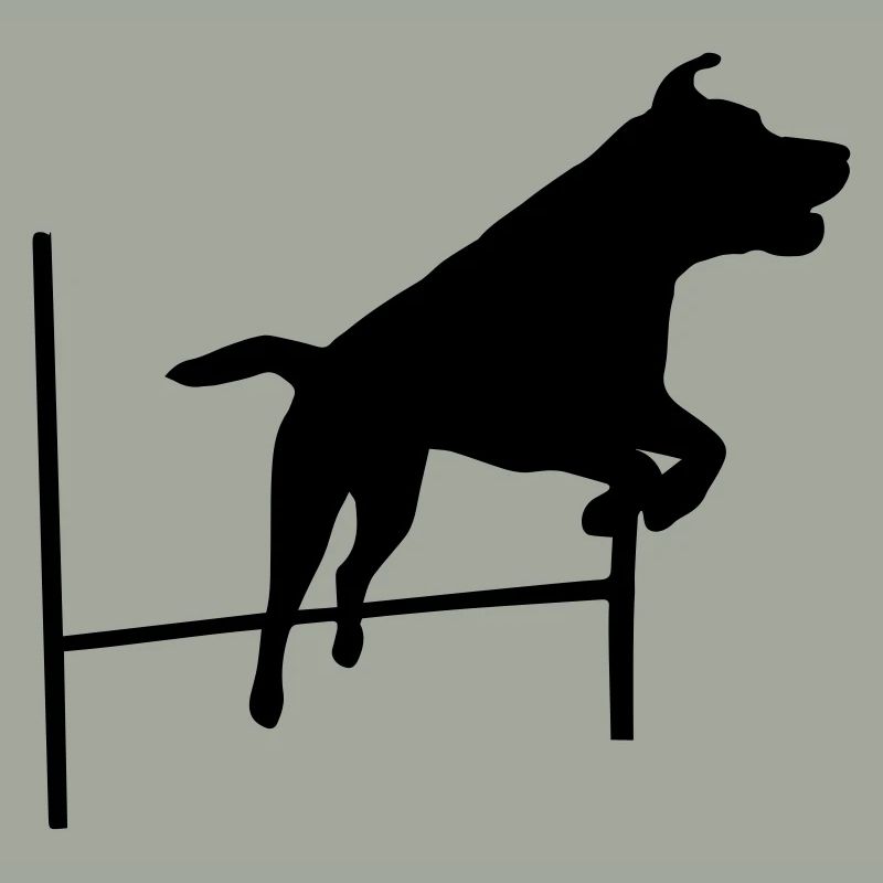 Agility