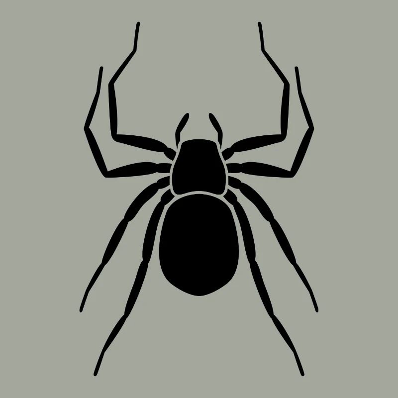 spider