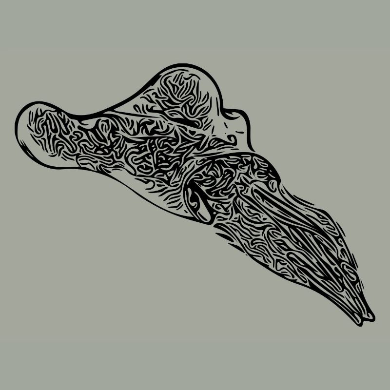Vintage Cuttlefish