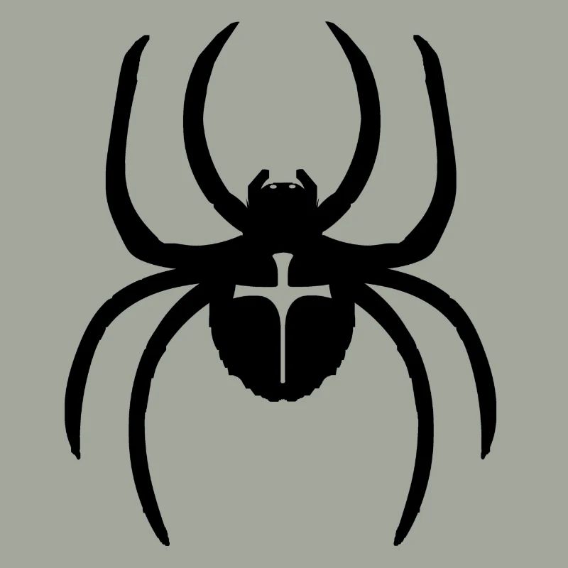 Spinne