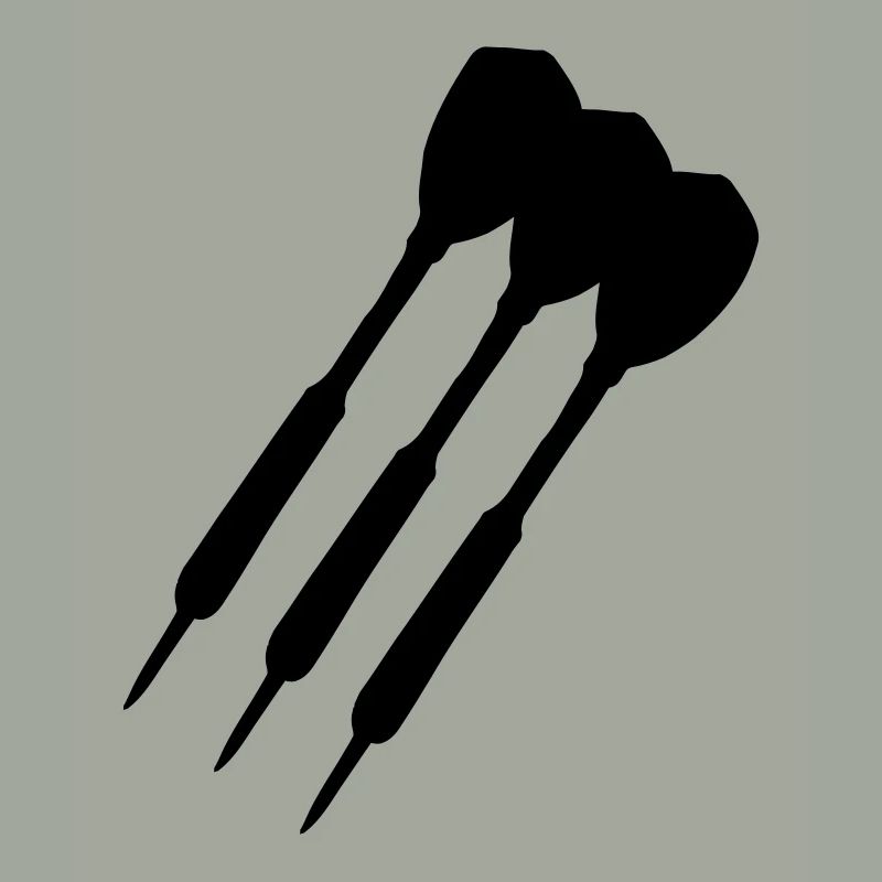 dartpfeil13