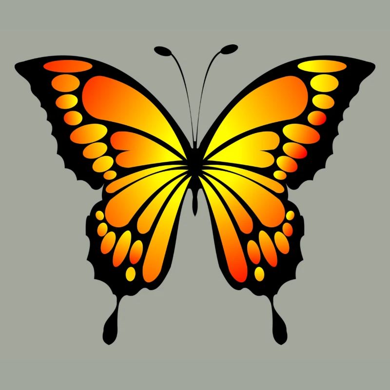 papillon