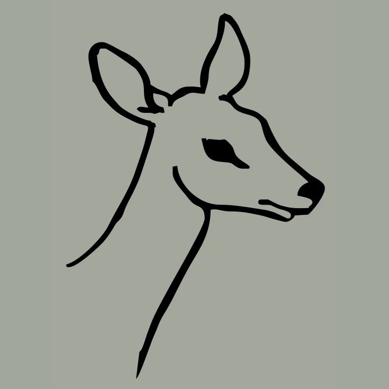 Doe