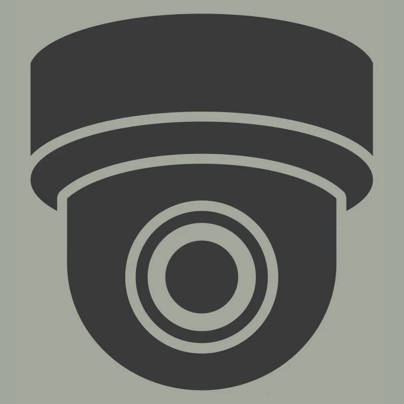 Security cameras in use symbol icon. Fixed CCTV