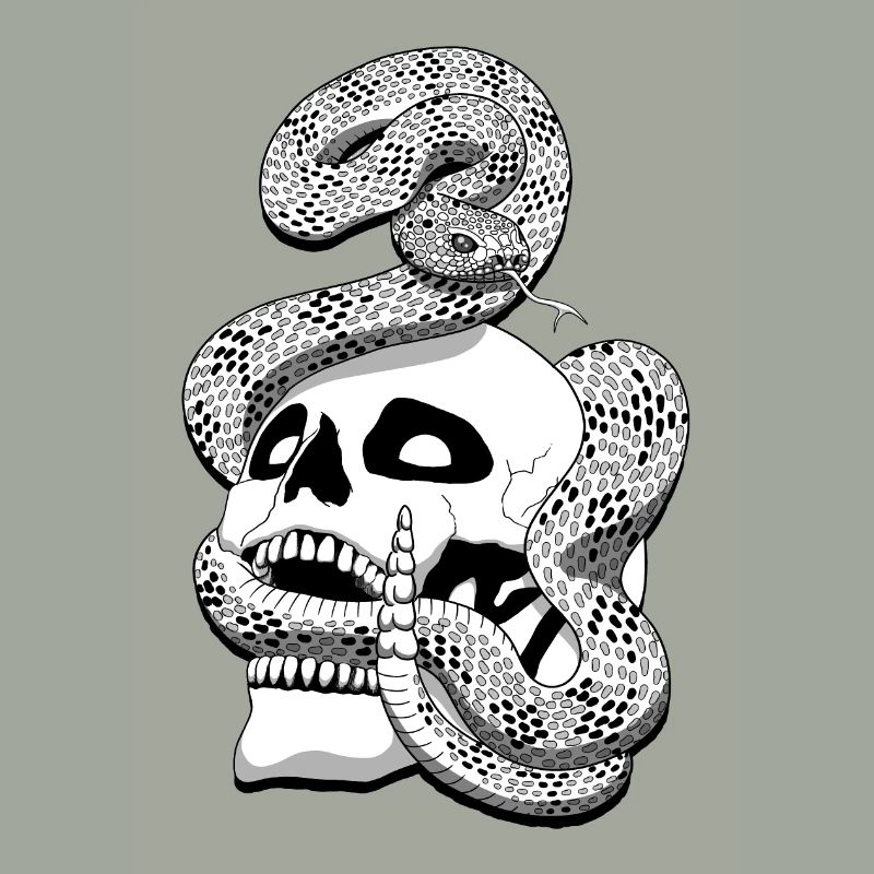 Serpent à sonnette et crâne