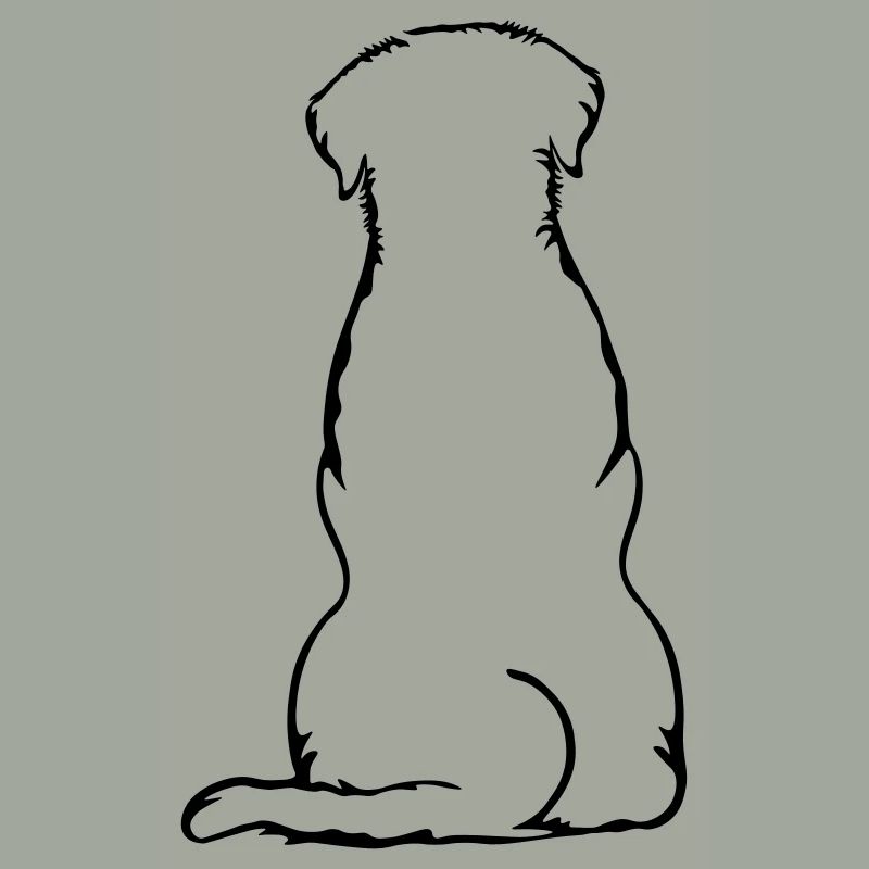 Labbi_sitzend_Back