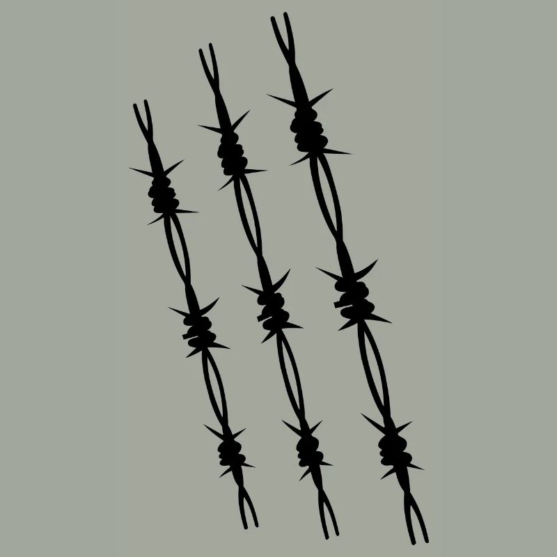 Barbed wire 3