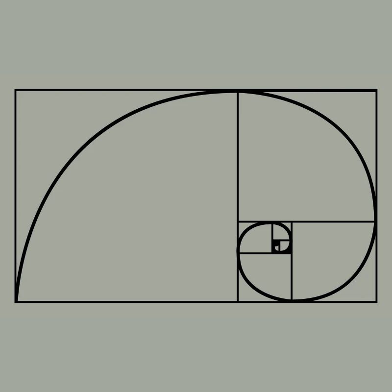 Fibonacci nature spiral