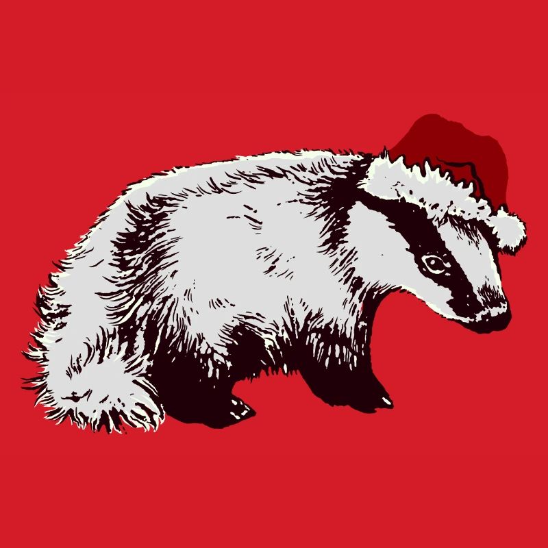 WEIHNACHTSDACHS