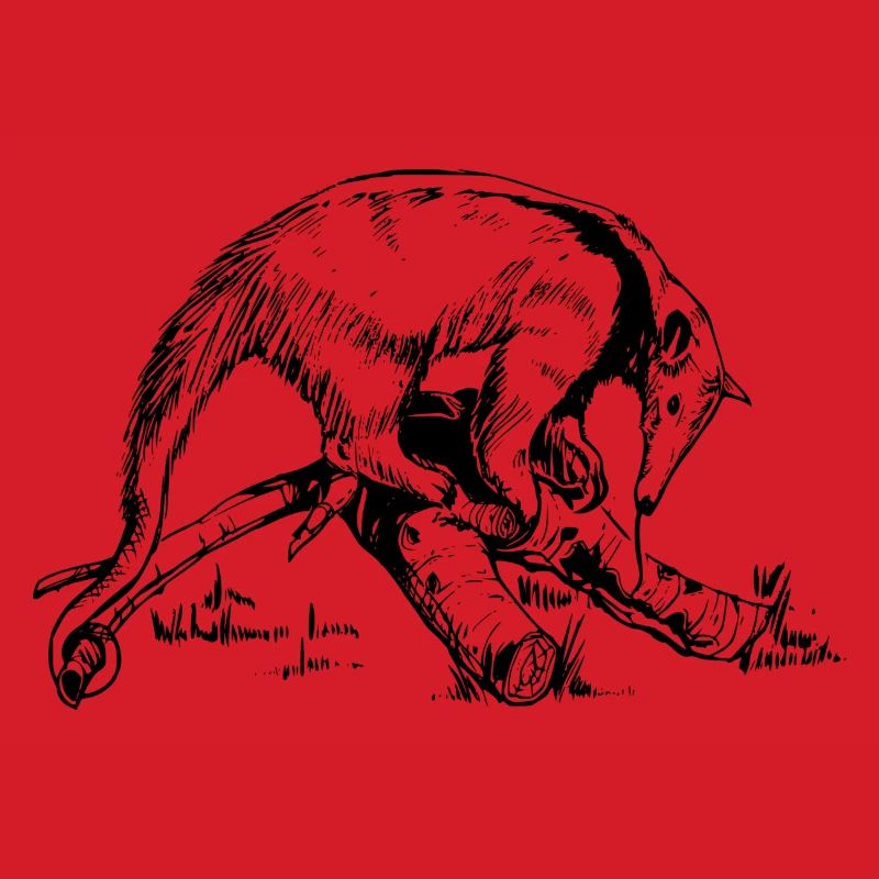 ant-eater
