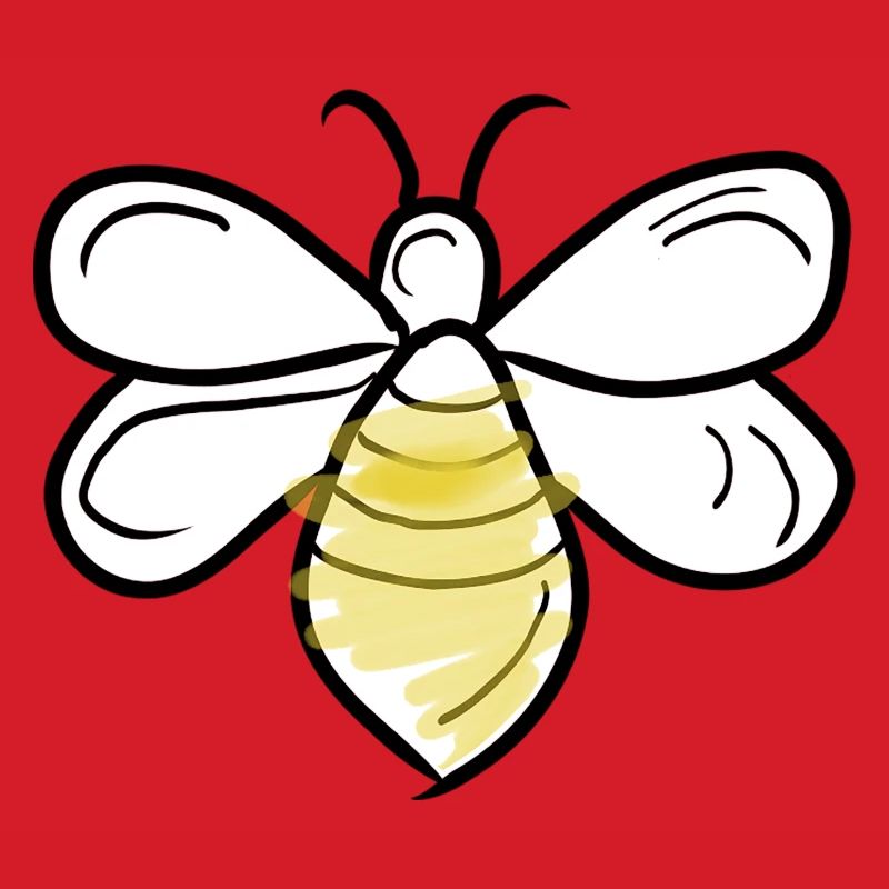 bee vecter