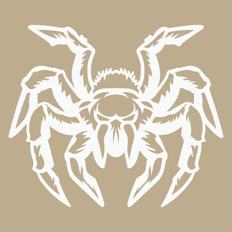 spider