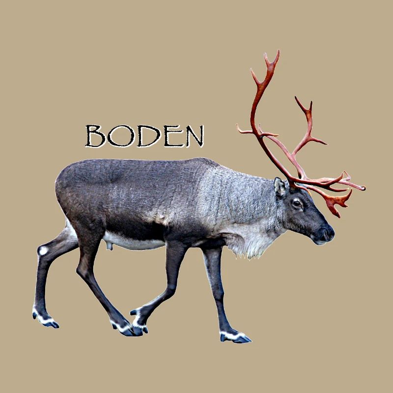 Boden