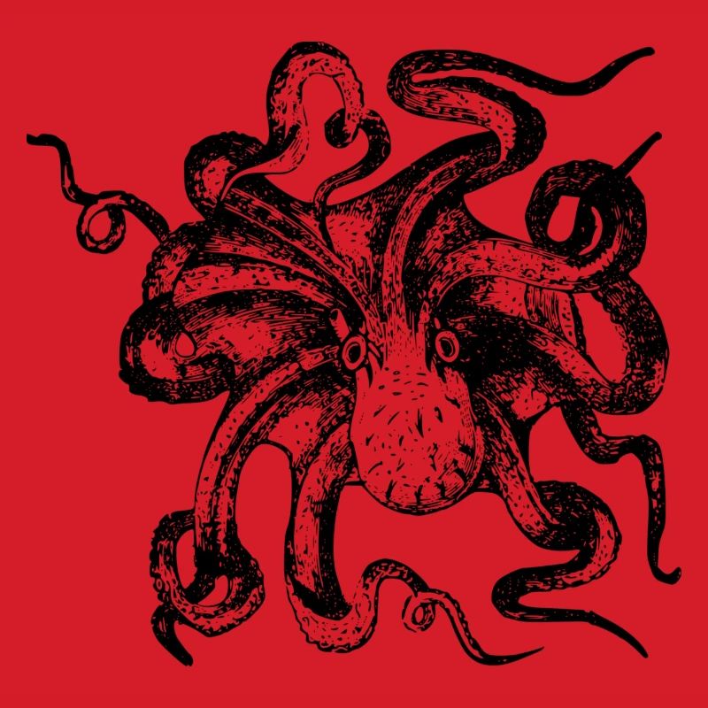 Oktopus