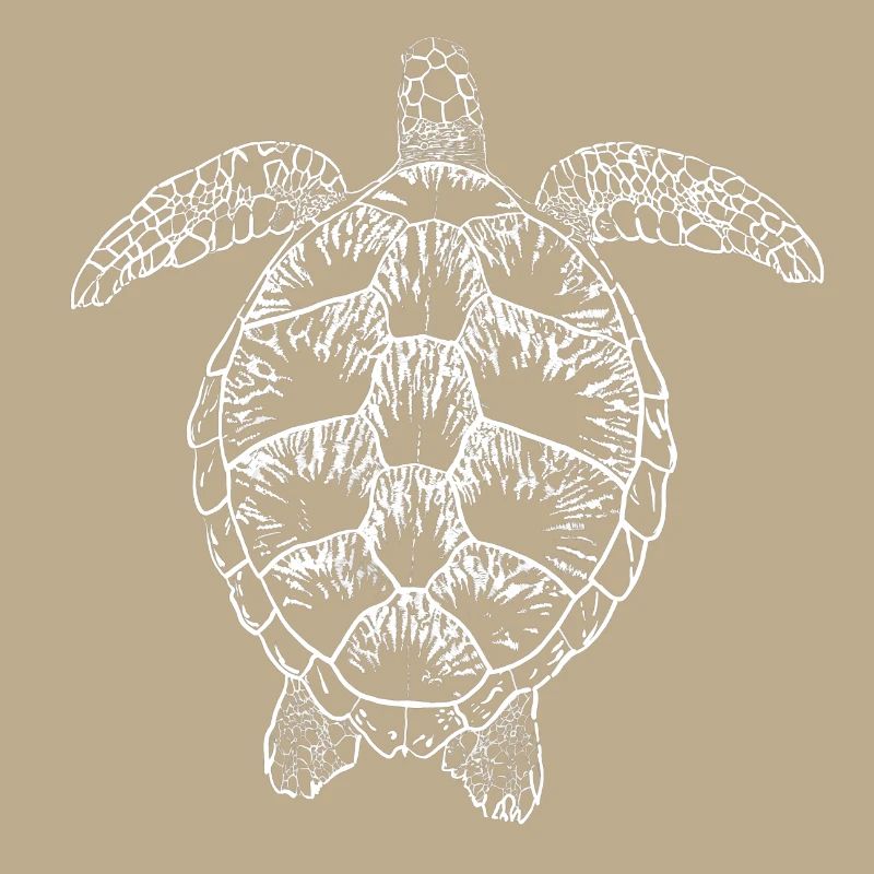 Turtle white2