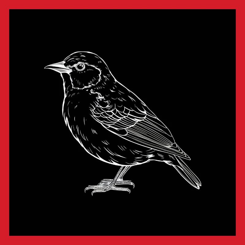 Vogel, schwarz-weiß