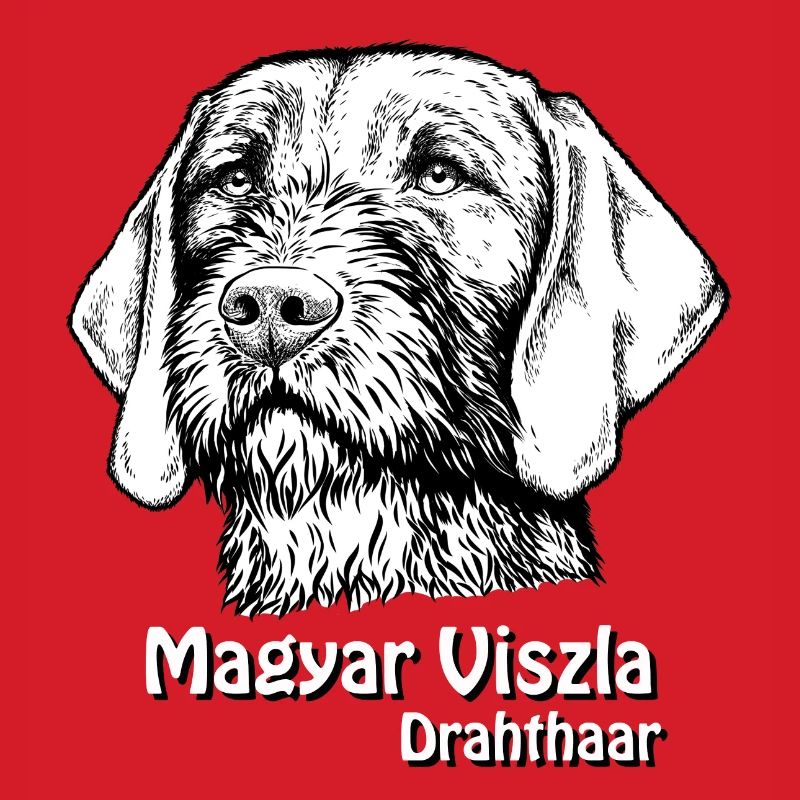 Magyar Viszla Drahthaar