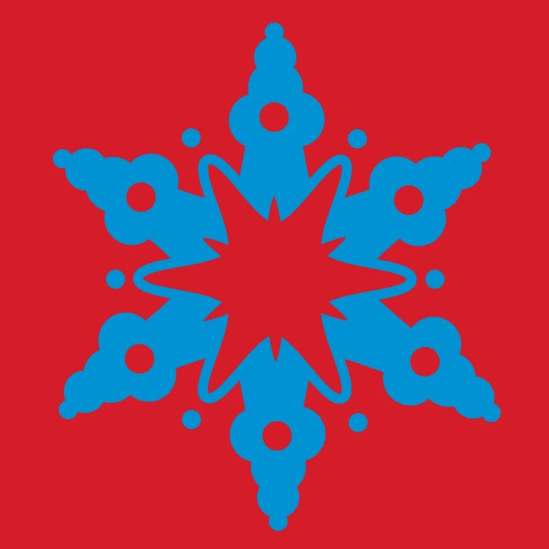 A snow crystal