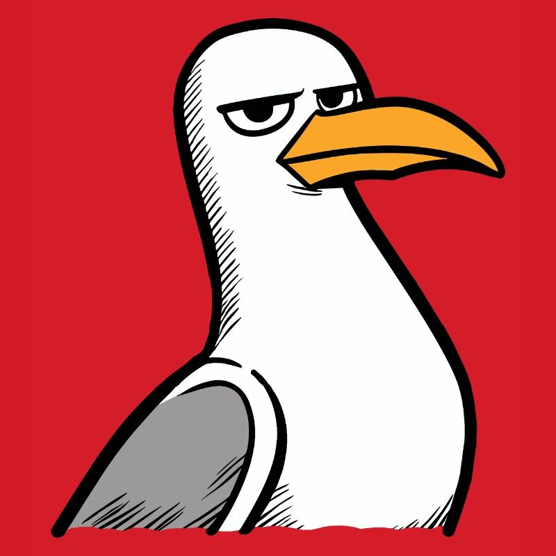 Seagull View
