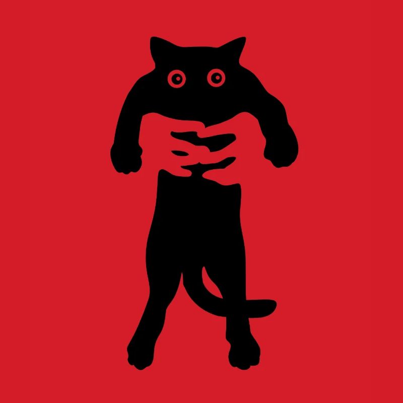chat noir