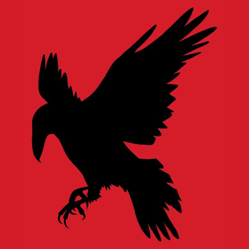 Schwarzer Rabe
