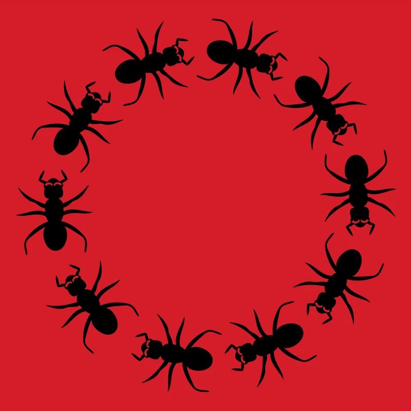 Ant insect district