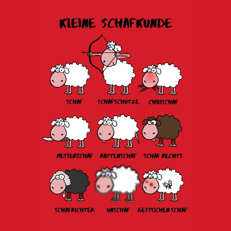 A little sheep knowledge