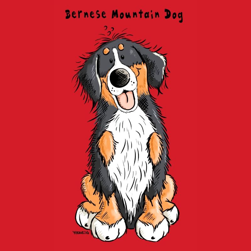 Berner Sennenhund mach Sitz