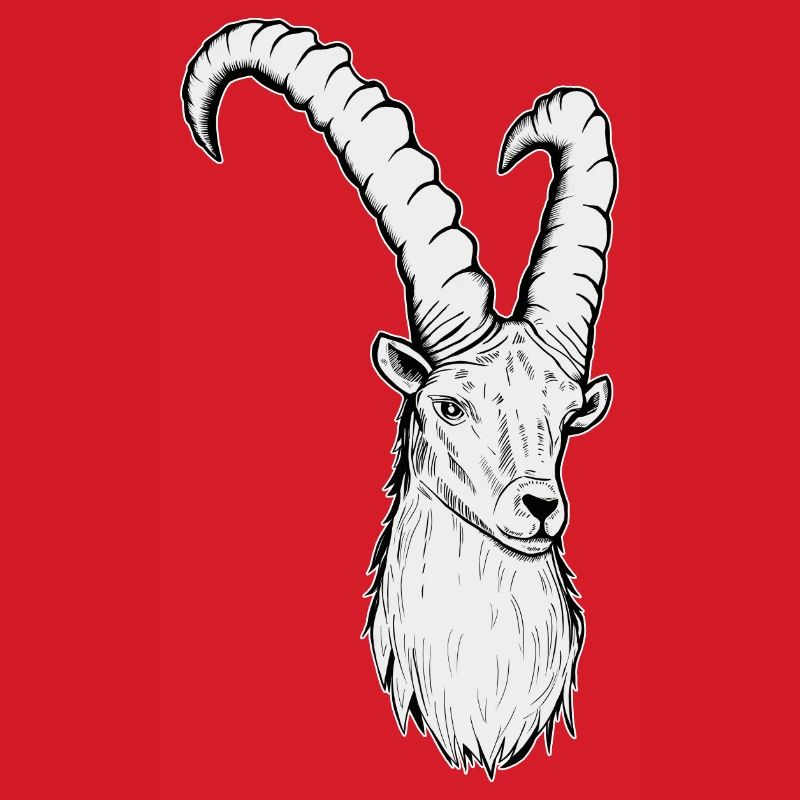 Steinbock Sternzeichen