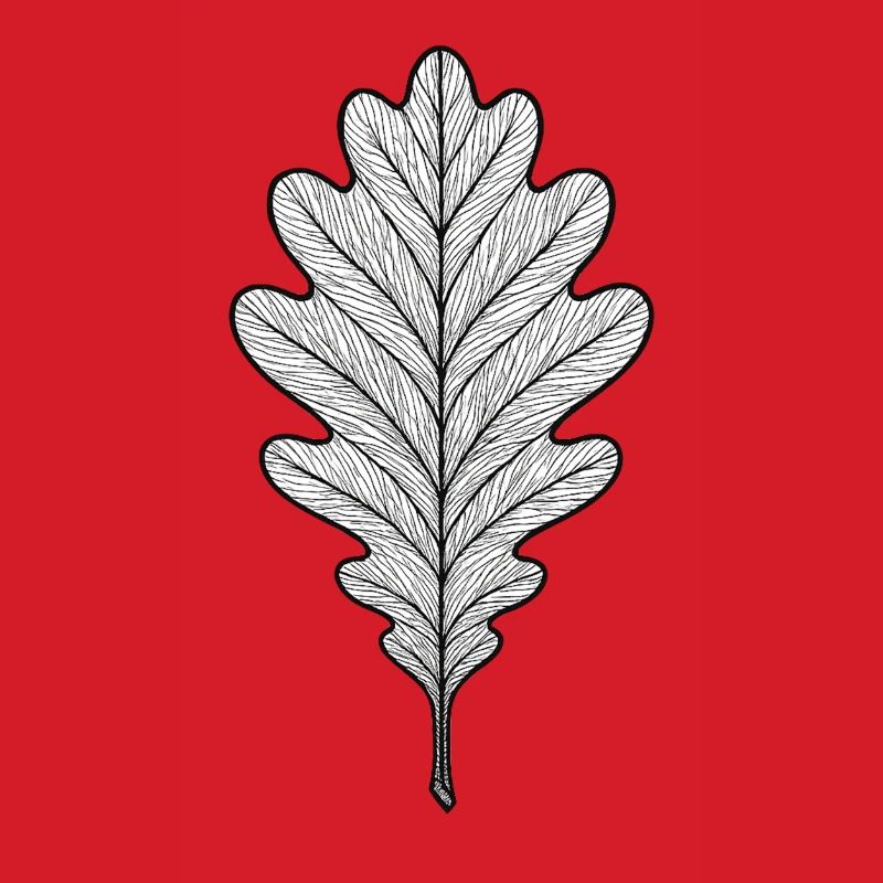 Monochromes Eichenblatt-Design
